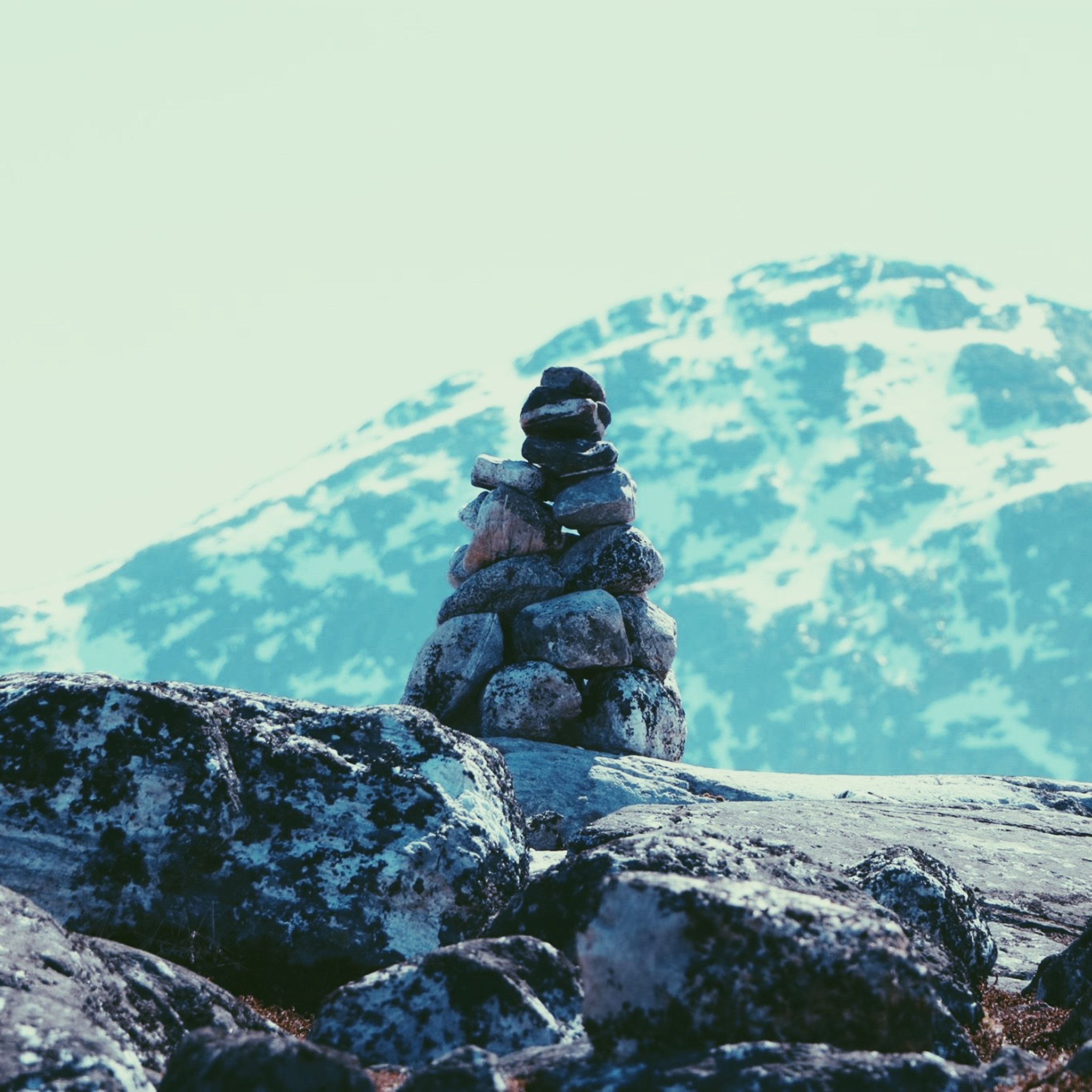 Nodal Bloom: Cairn