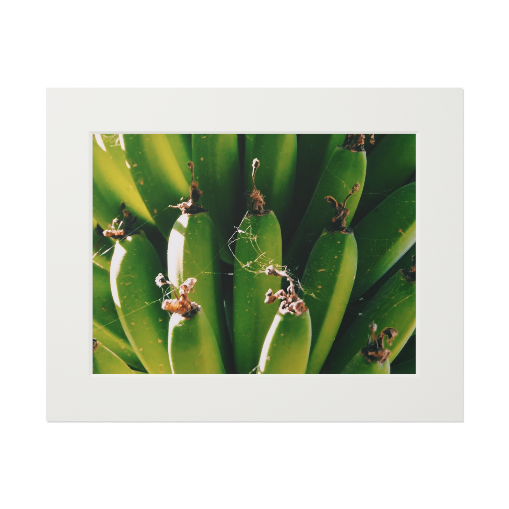 Arranged Image Print 08