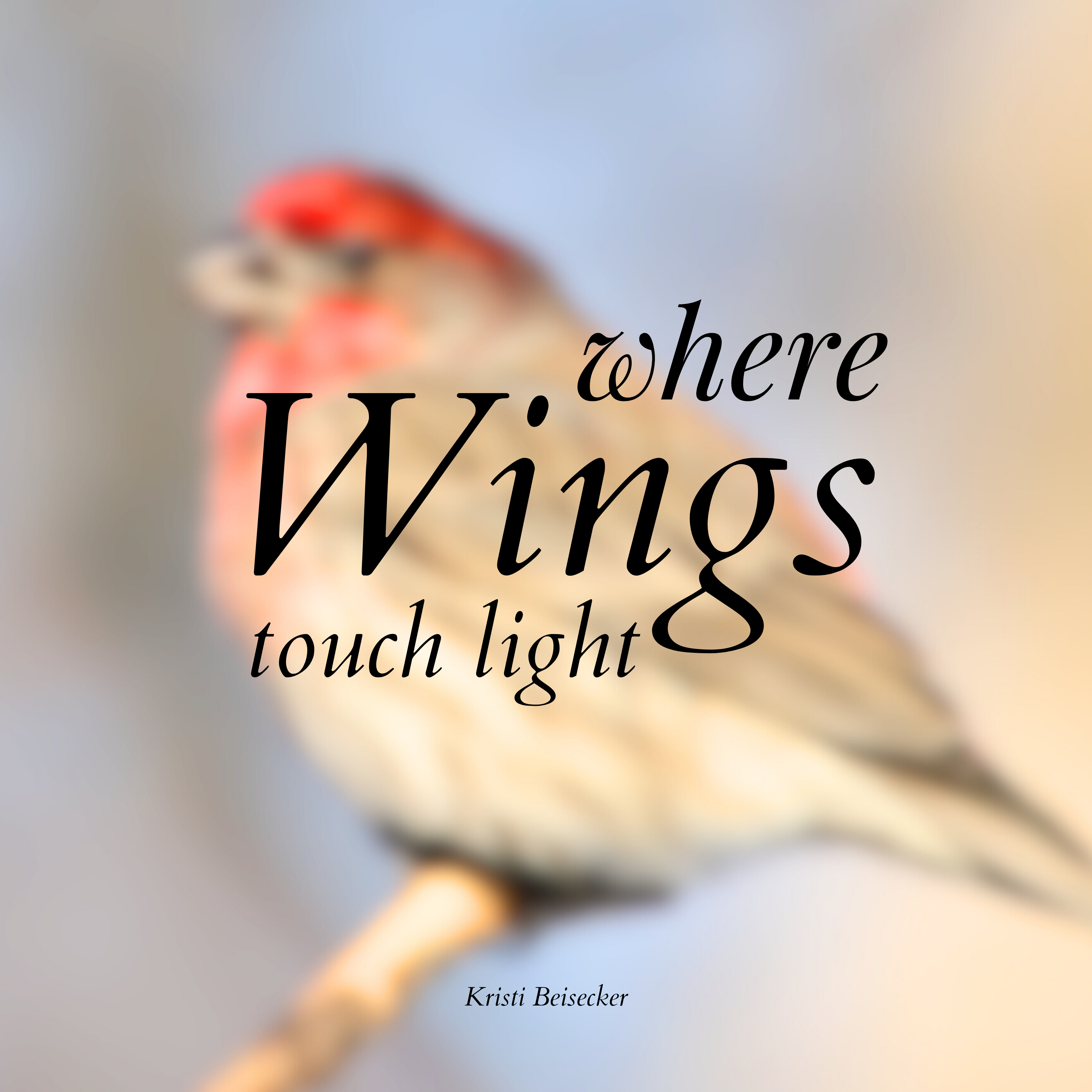 Where Wings Touch Light